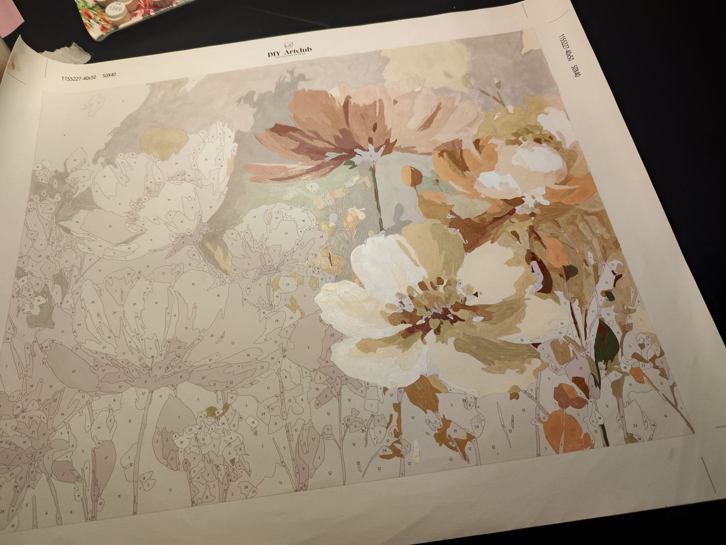 Customer photo review of Fields of Grace | Paint by Number