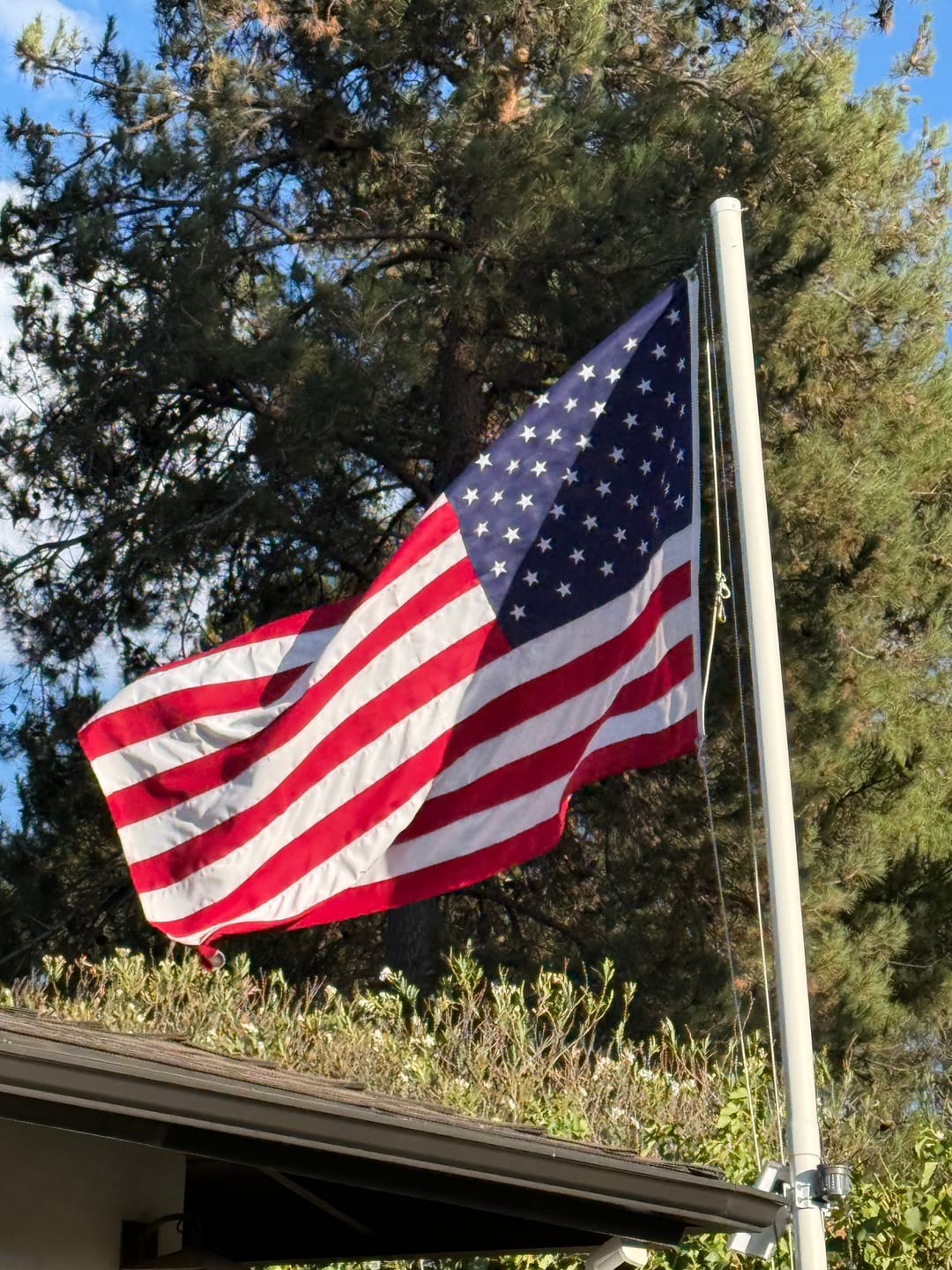 Customer photo review of Everlast American Pride - Spun Polyester Outdoor Flag