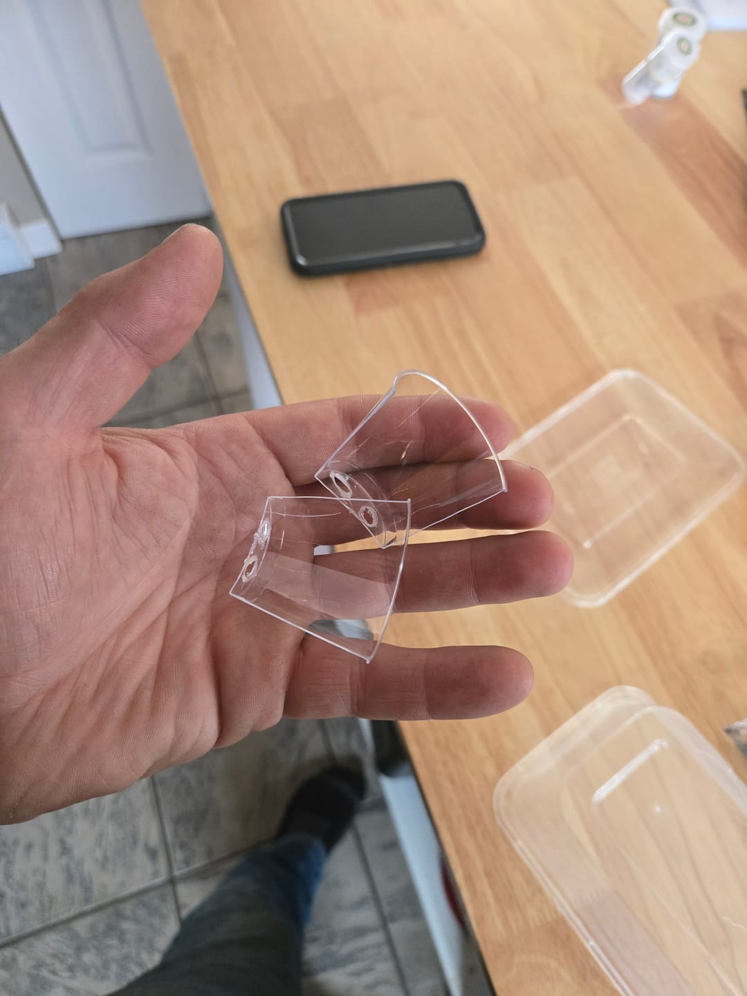 Customer photo review of Tissue Culture Starter Kit