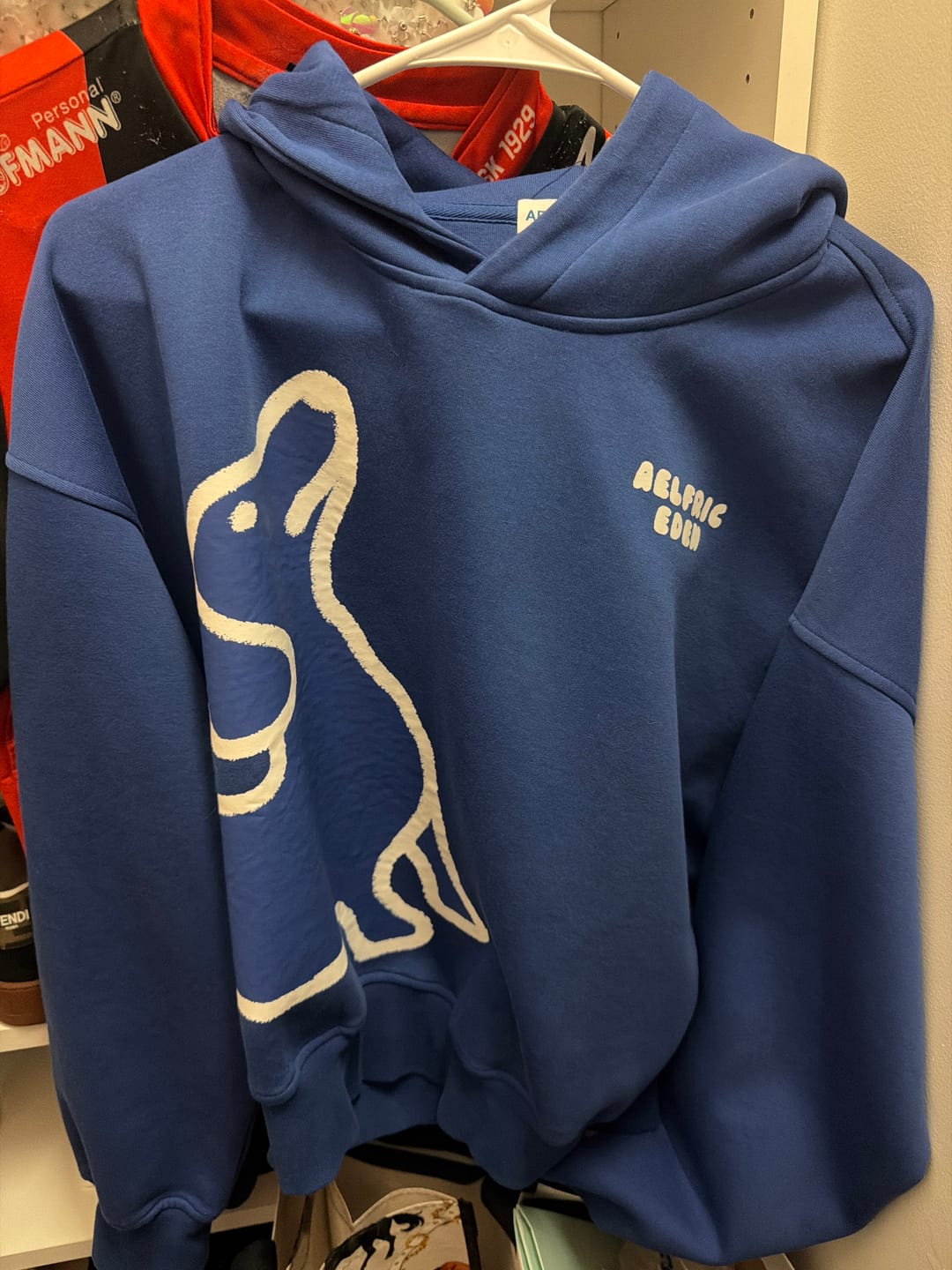 Customer photo review of Aelfric Eden Boxy Dachshund Graphic Hoodie