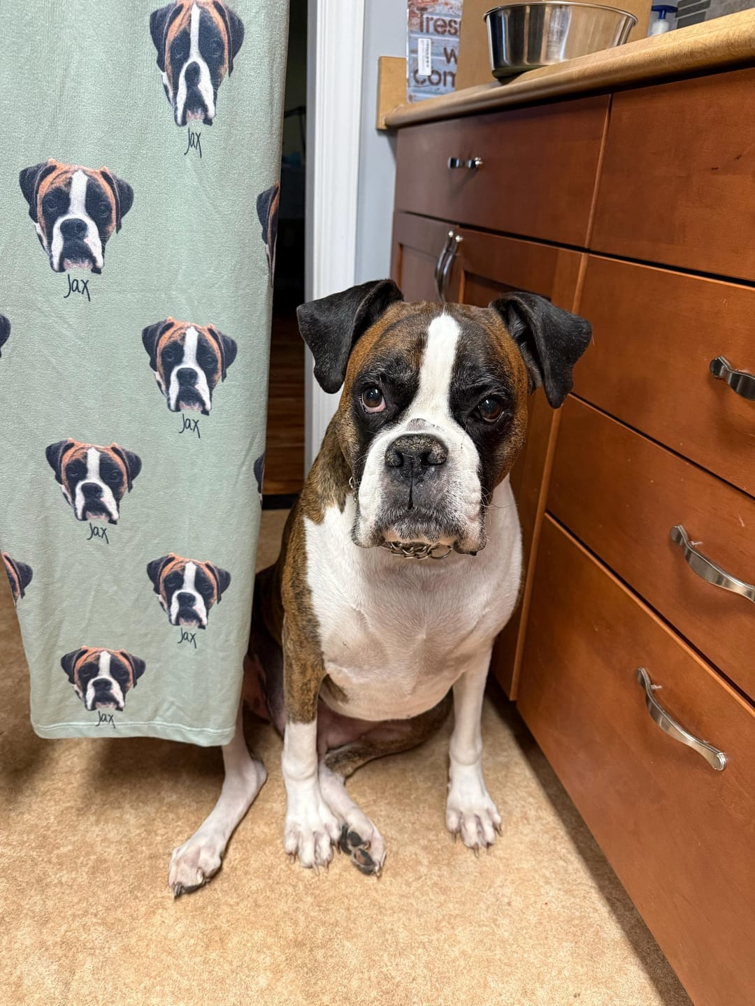 Customer photo review of Personalized Pet Photo Pajama, Custom Dog & Cat Portrait PJs, Family Matching Loungewear