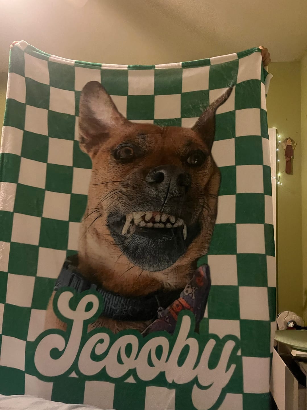Customer photo review of Custom Pet Photo Blanket: Checkerboard Dog or Cat Blanket