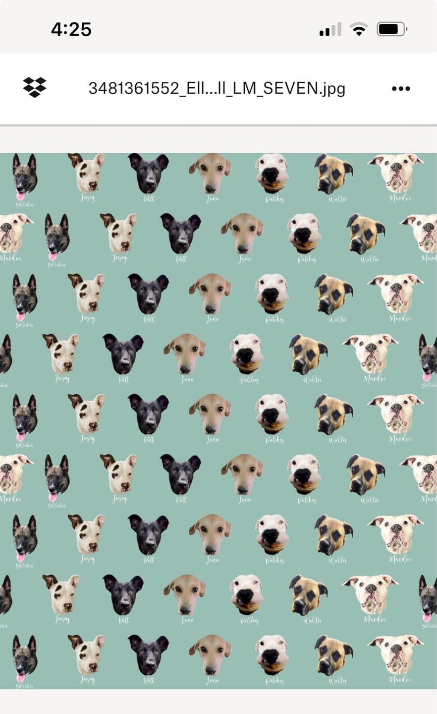 Customer photo review of Custom Pet Photo Blanket: Personalized Dog Portrait, Soft Flannel