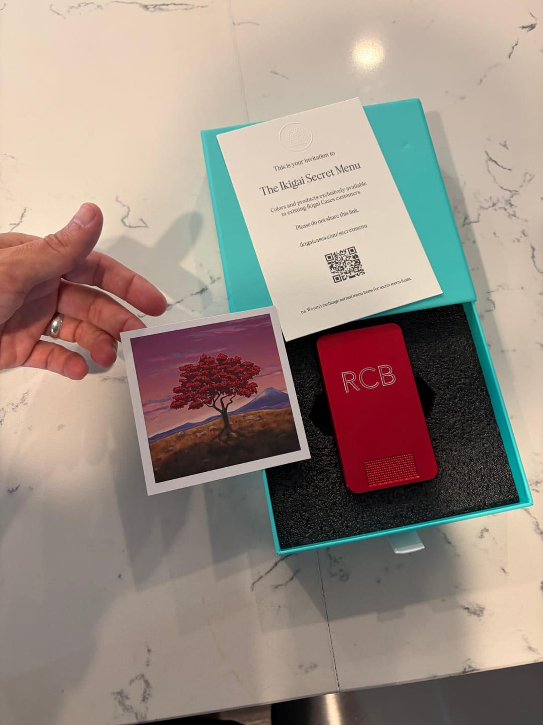 Customer photo review of Mission Case