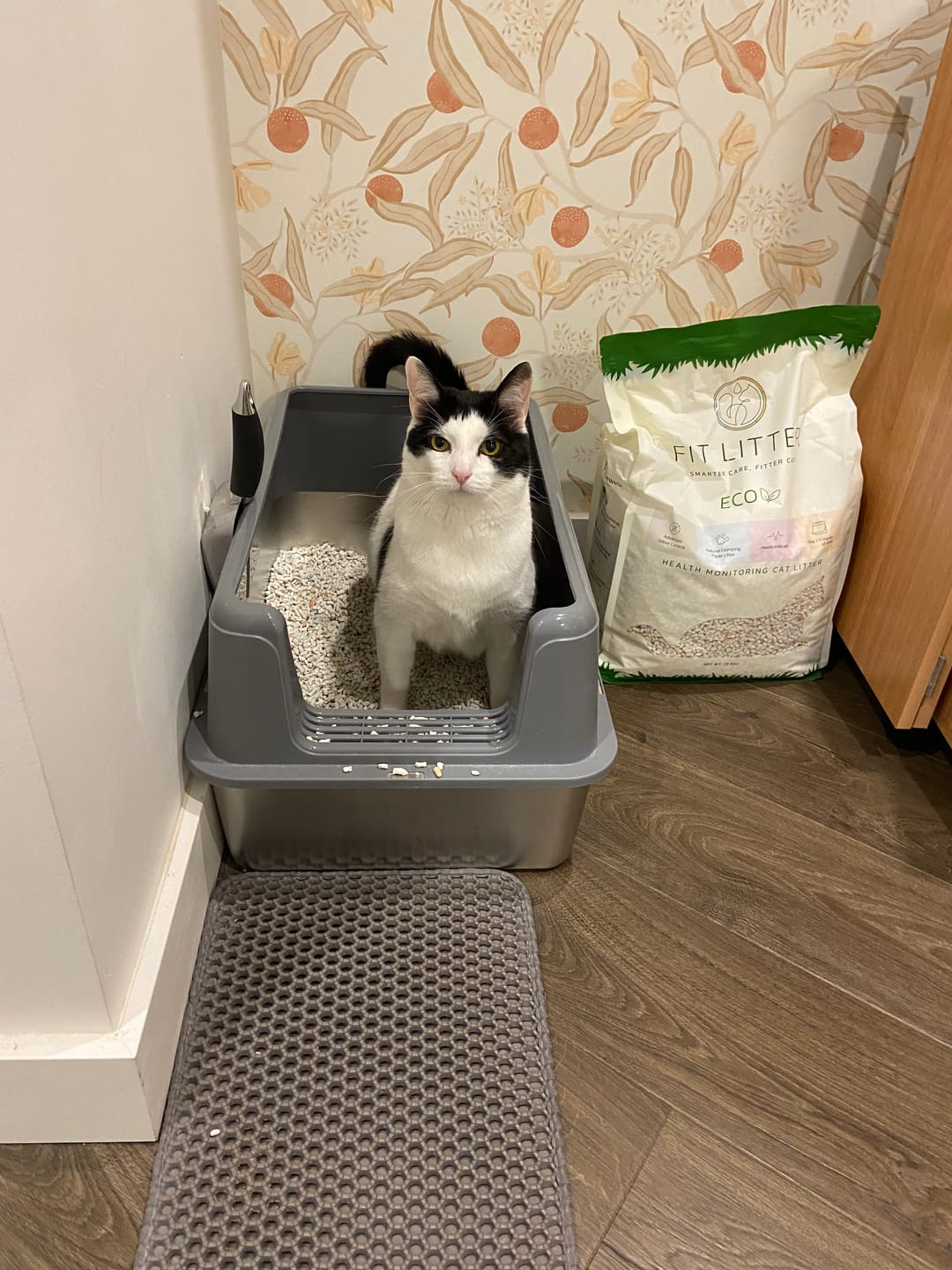 Customer photo review of Fit Litter ECO