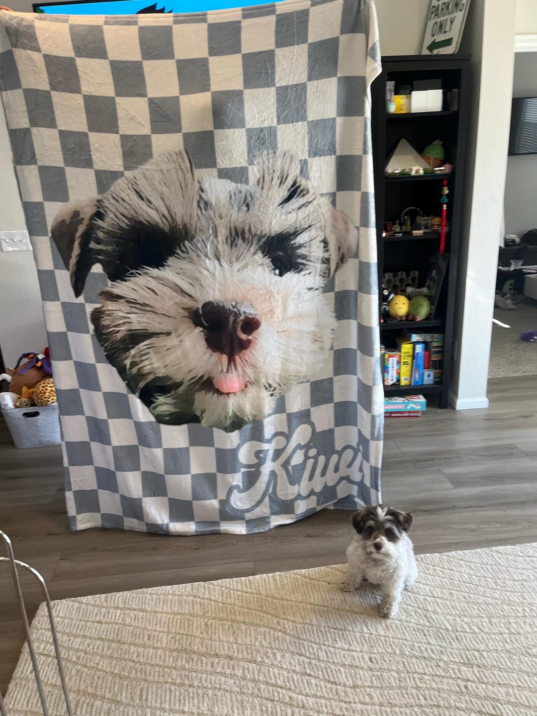 Customer photo review of Custom Pet Photo Blanket: Checkerboard Dog or Cat Blanket