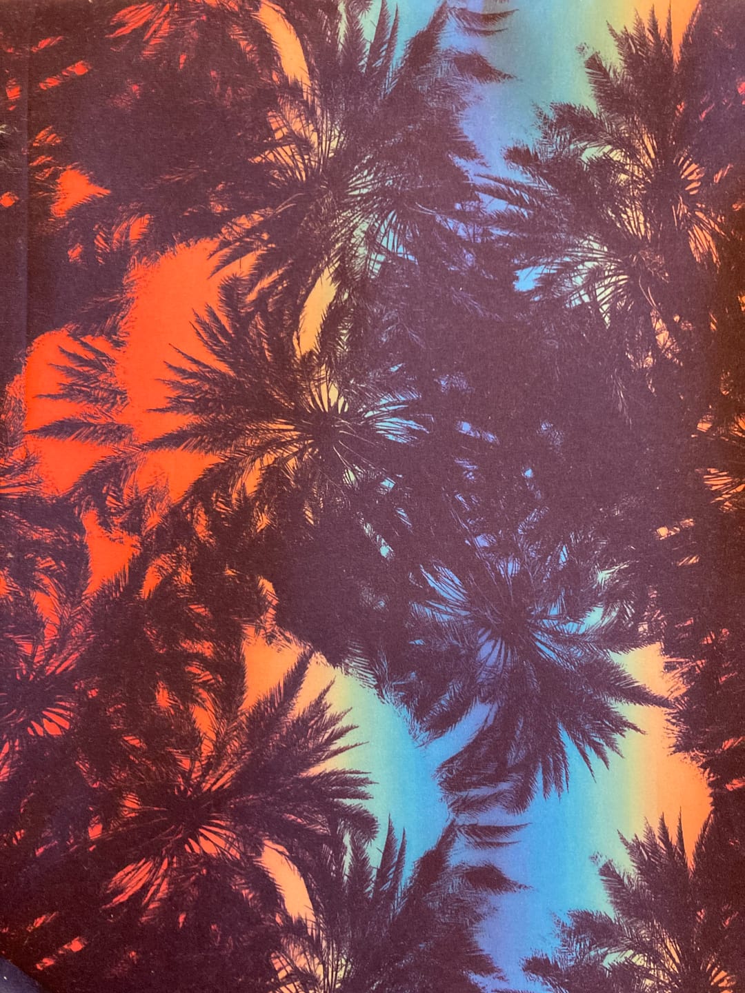 Customer photo review of Tropical Sunset Swim Shorts Fabric