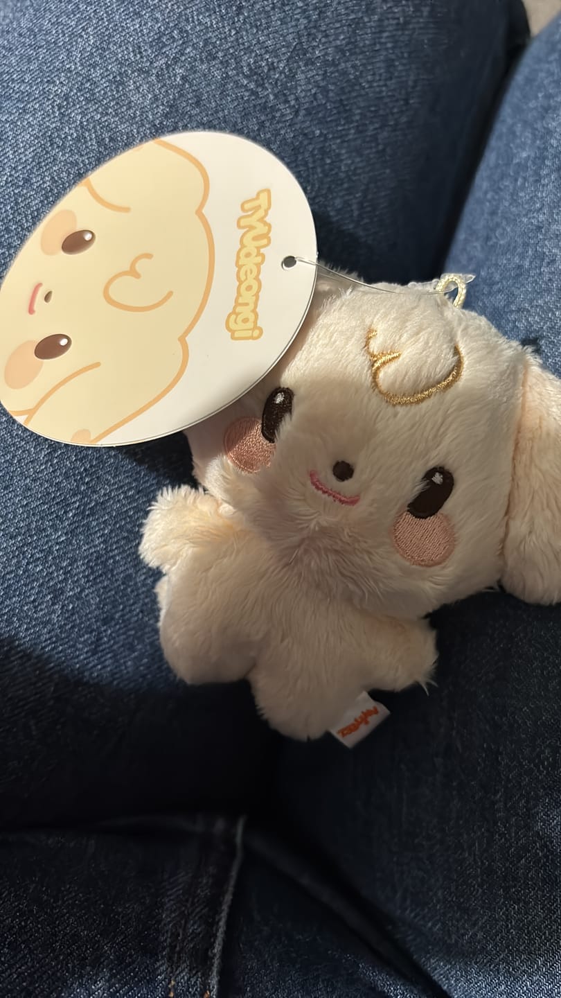 Customer photo review of [NEW] ATEEZ - [ANITEEZ IN COLOR] TINY ANITEEZ PLUSH DOLL