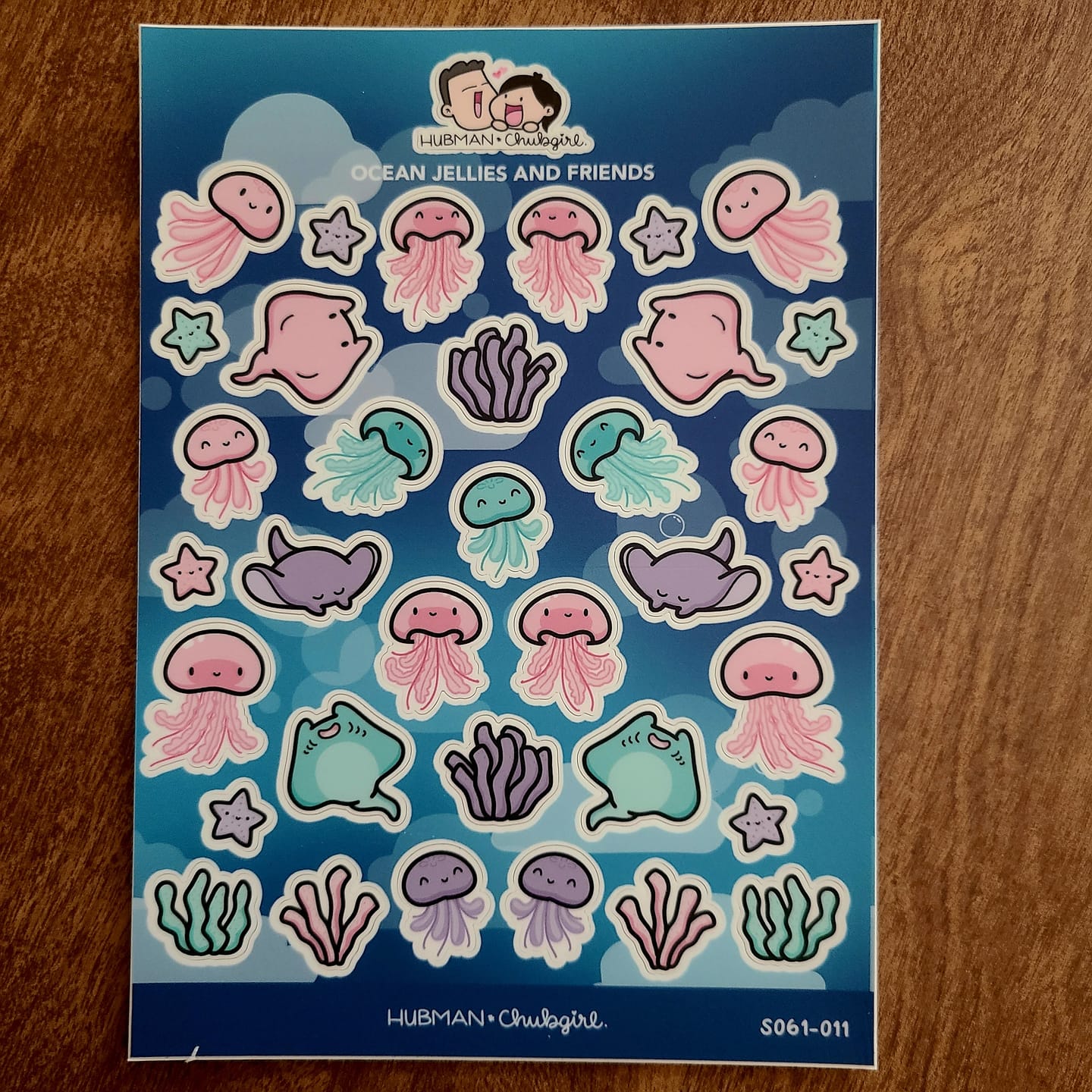 Customer photo review of Ocean Jellies and Friends Sticker Sheet