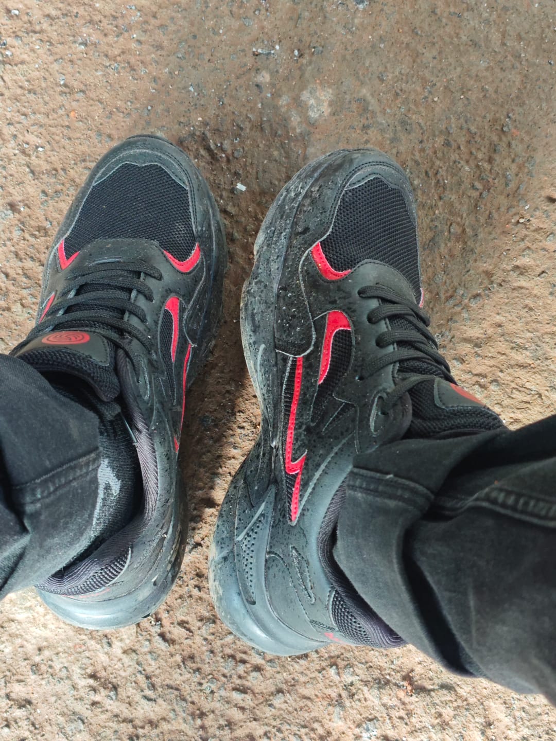 Customer photo review of ZEUS