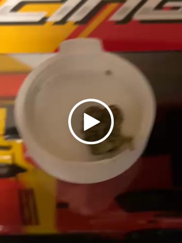 Customer video review of THC-A 30% Flower Do-Si-Dos x Gelato