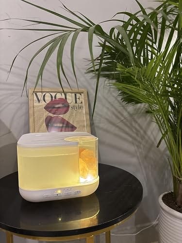 Customer photo review of Humidifier for Ultrasonic Cool Mist