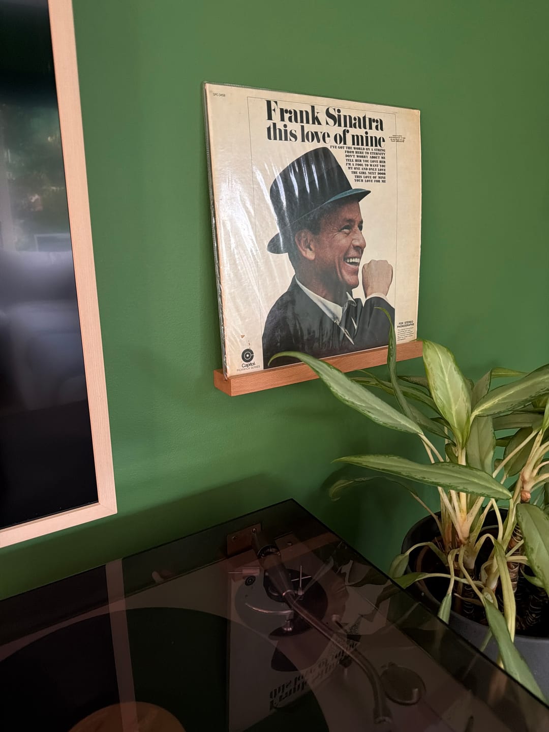 Customer photo review of Marco Wooden Wall-Mounted Vinyl Record Display Shelf