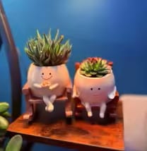 Customer photo review of Infinity™ Plant Pot