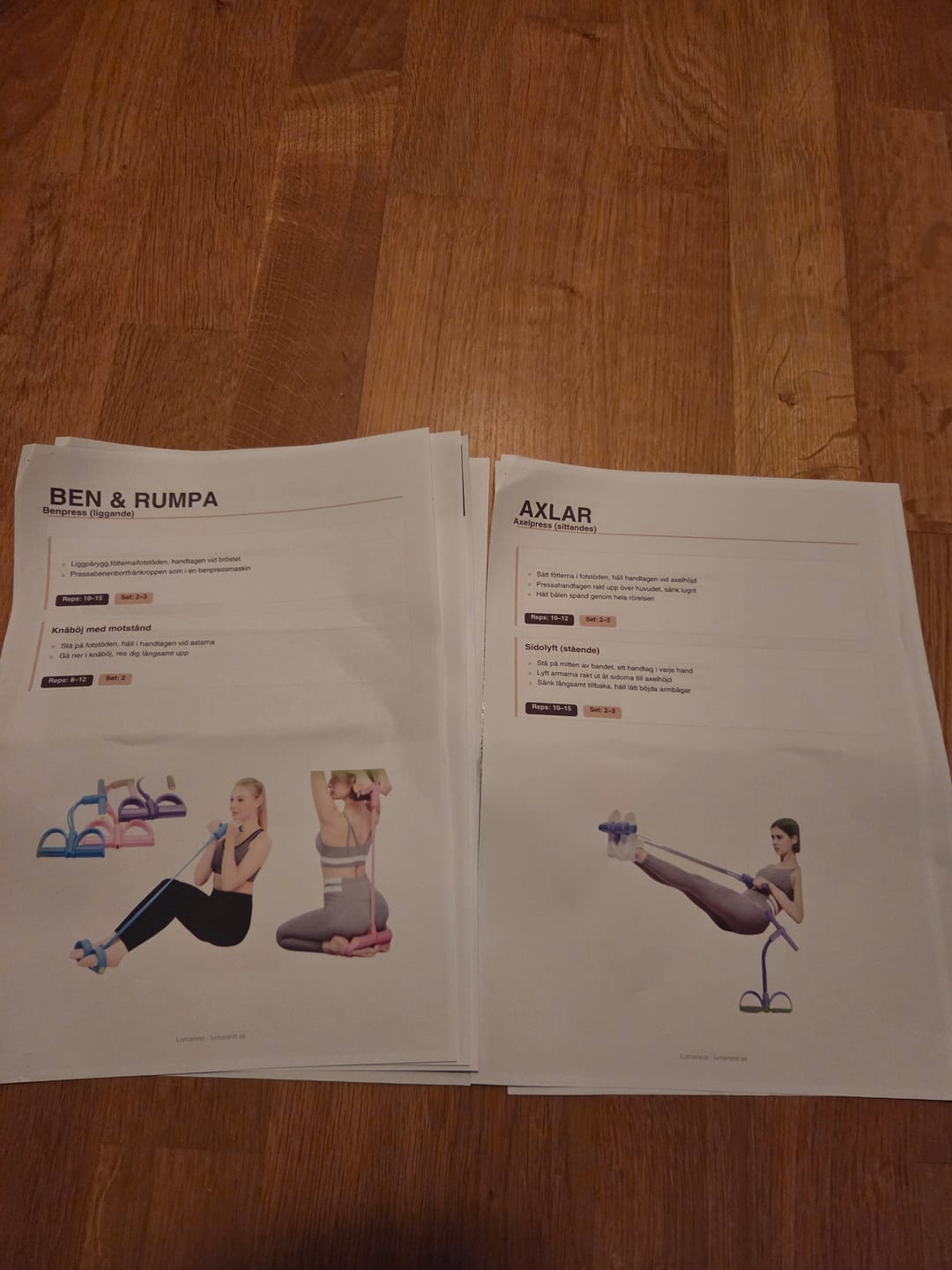 Customer photo review of Träningsprogrammet som Får dig Vilja Träna!