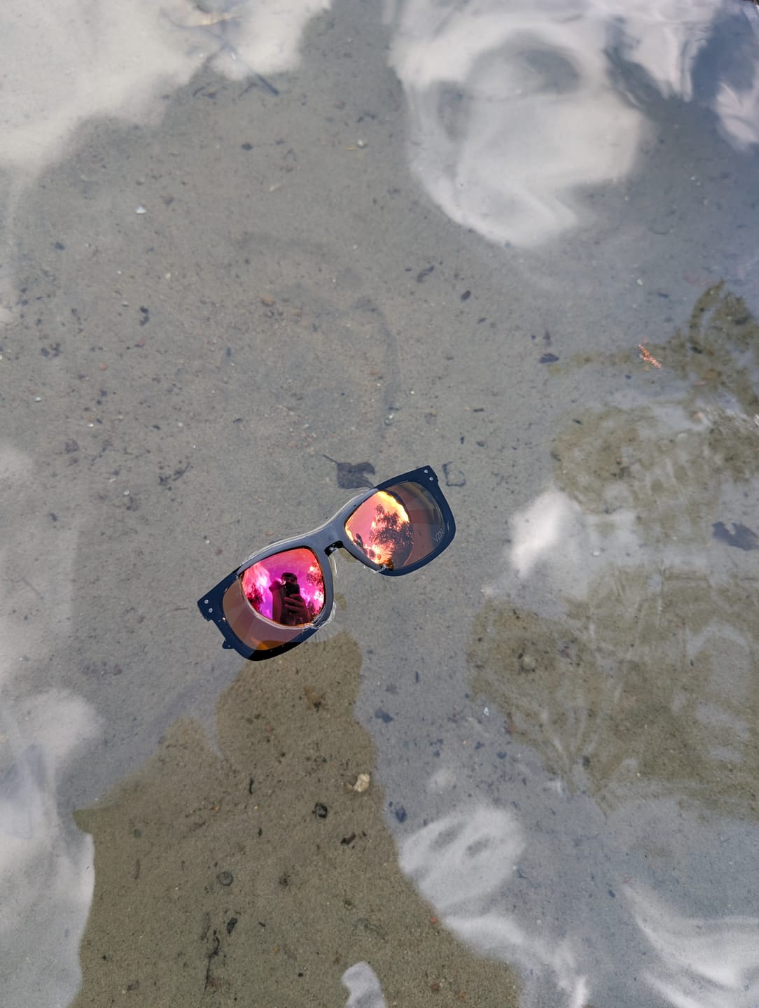 Customer photo review of The Melissa Sunglasses