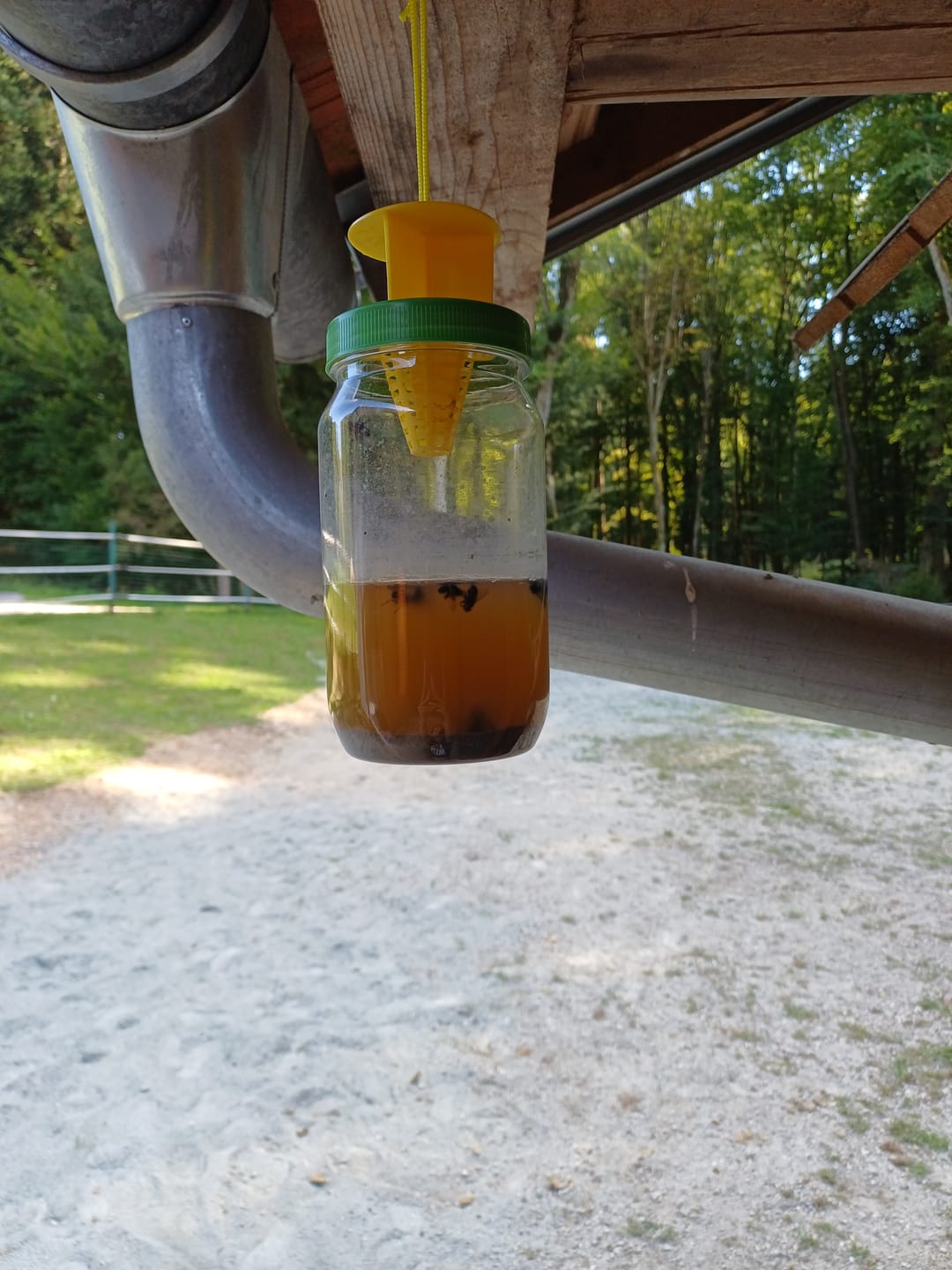 Customer photo review of HorseSafe LiquidTrap – Schluss mit Fliegenstress auf deinem Hof