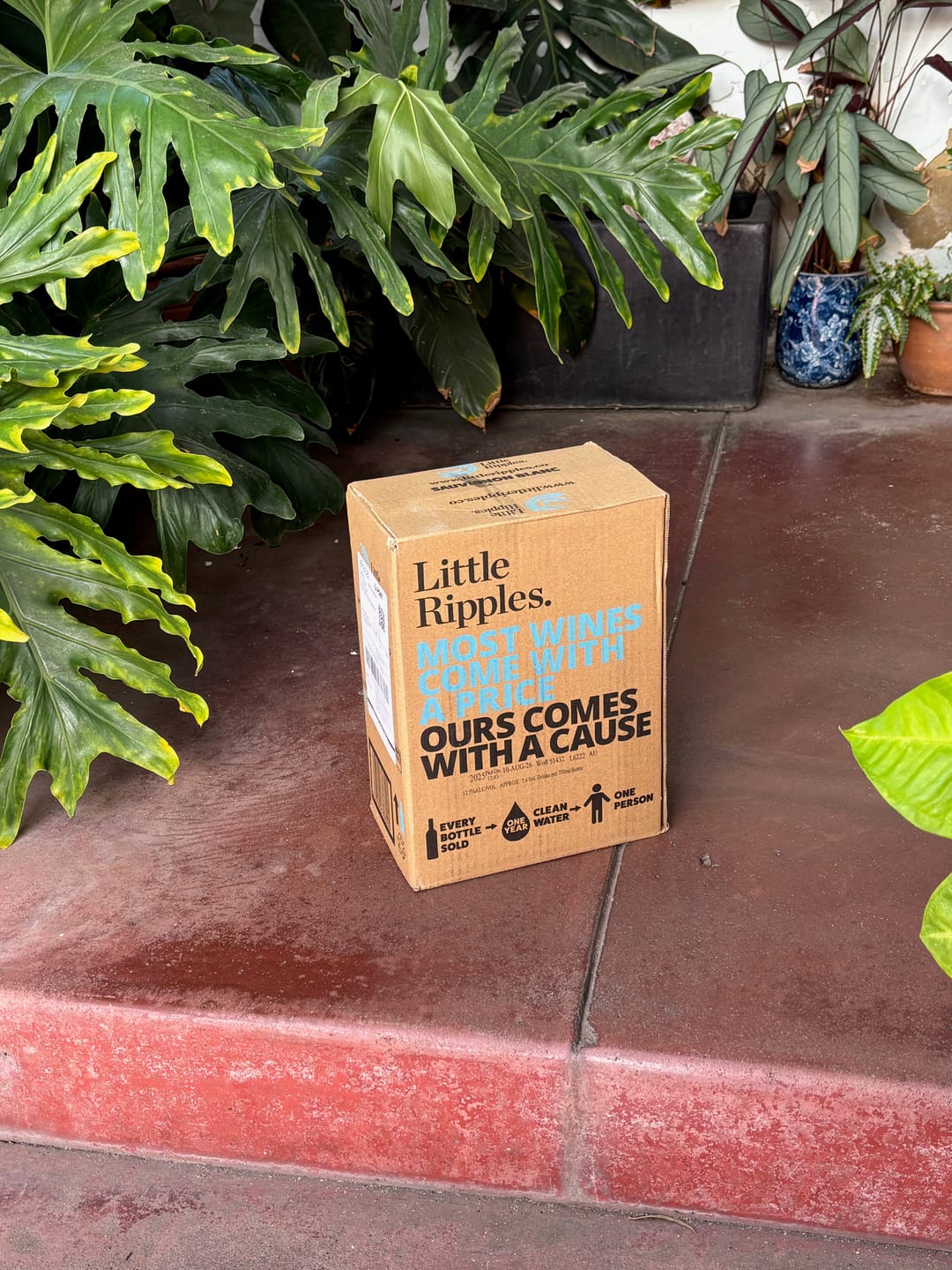 Customer photo review of Zero Sugar Sauvignon Blanc – Australian White Wine | 6 Pack