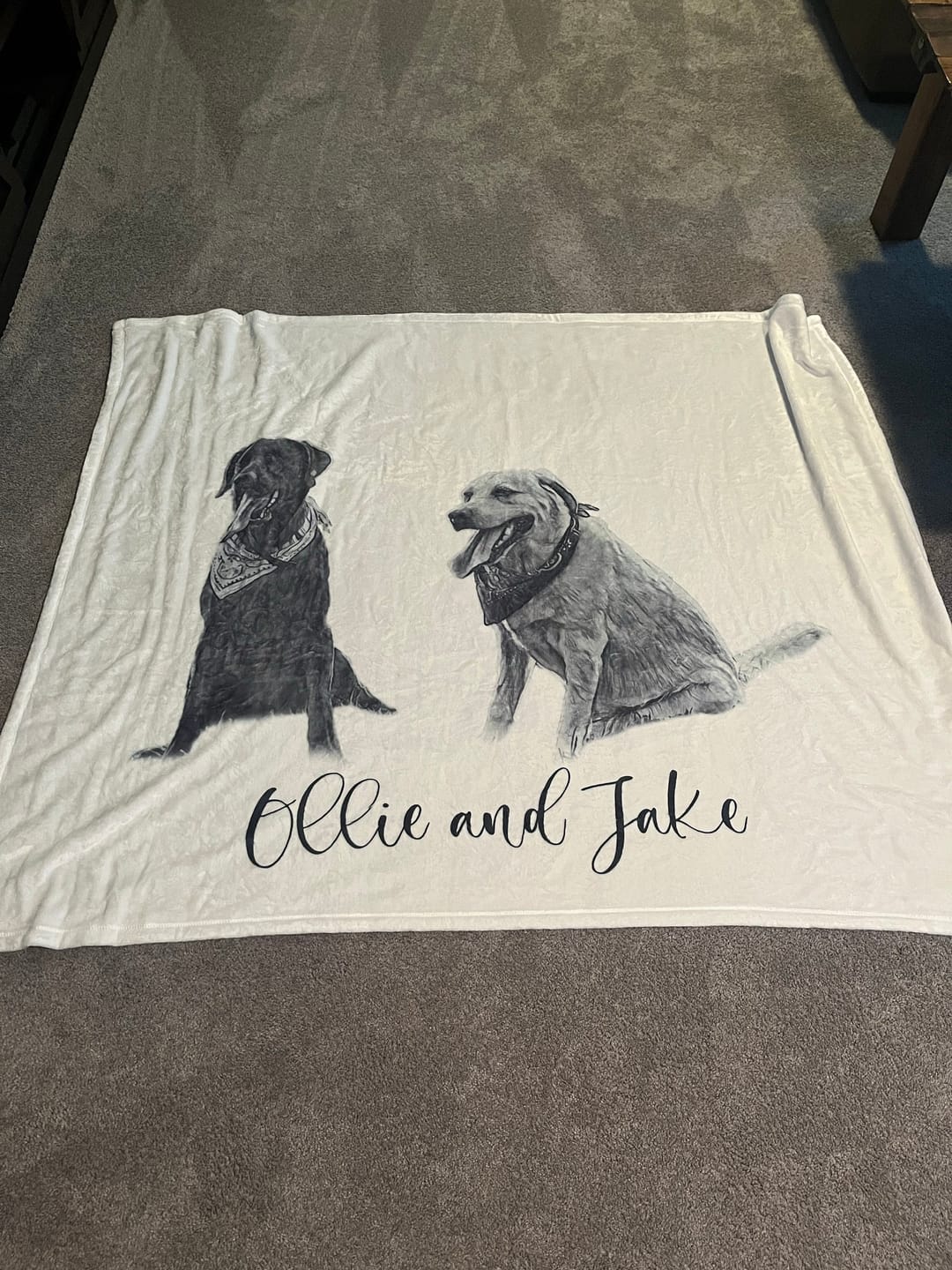 Customer photo review of Custom Pet Portrait Blanket: Personalized Dog or Cat Photo Blanket