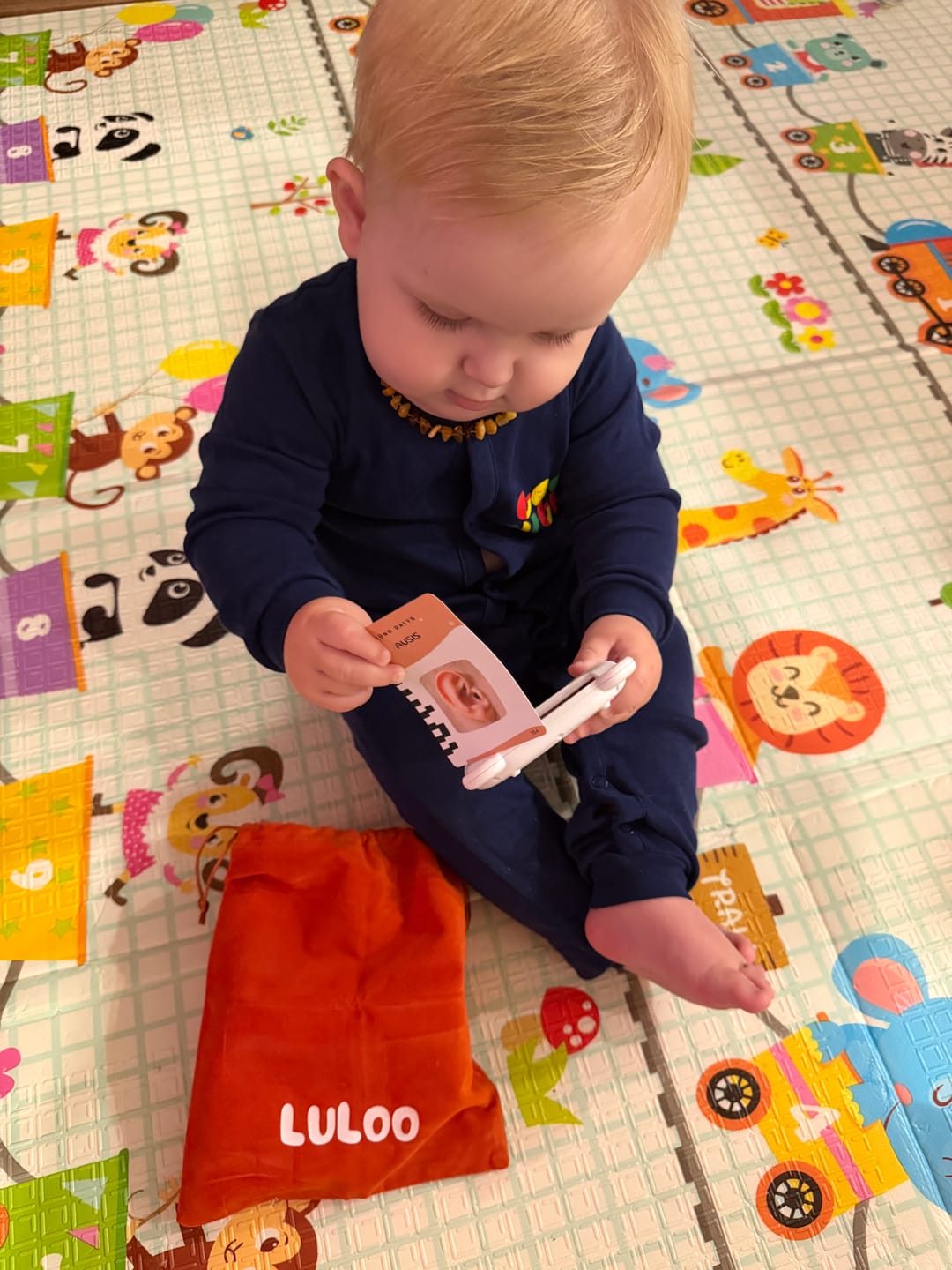 Customer photo review of Luloo kalbos kortelės - įgarsintos lavinamosios kortelės, kalbančios lietuviškai