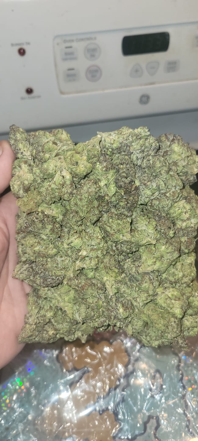 Customer photo review of Gas Face - Bulk - (Indica)