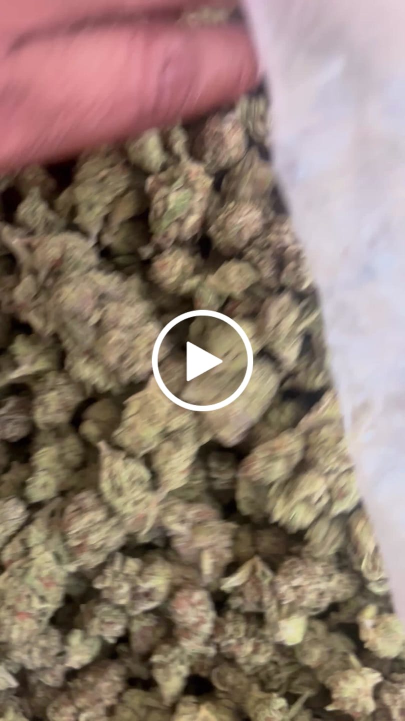 Customer video review of Cheap THCA Smalls Pound