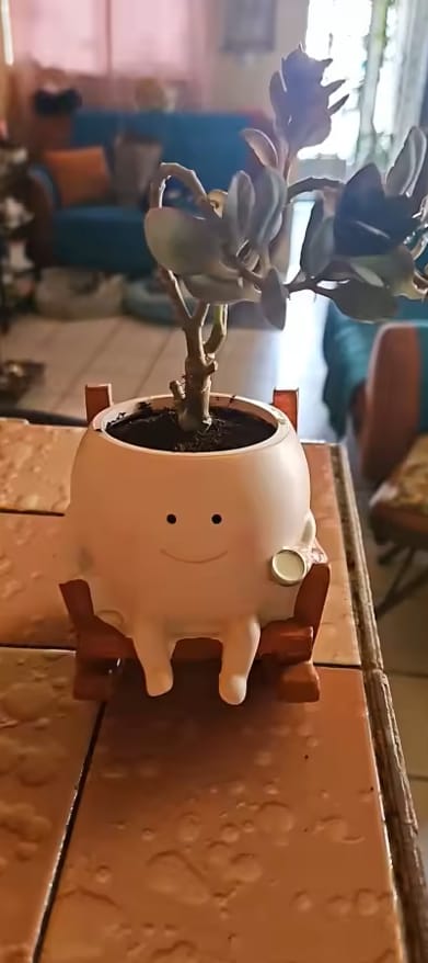 Customer photo review of Infinity™ Plant Pot