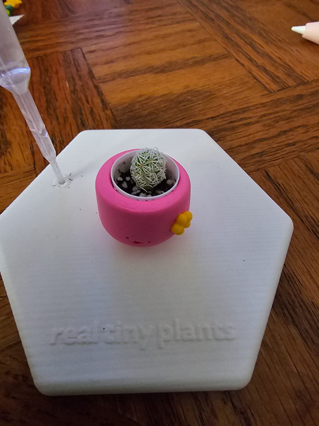 Customer photo review of Flower Power