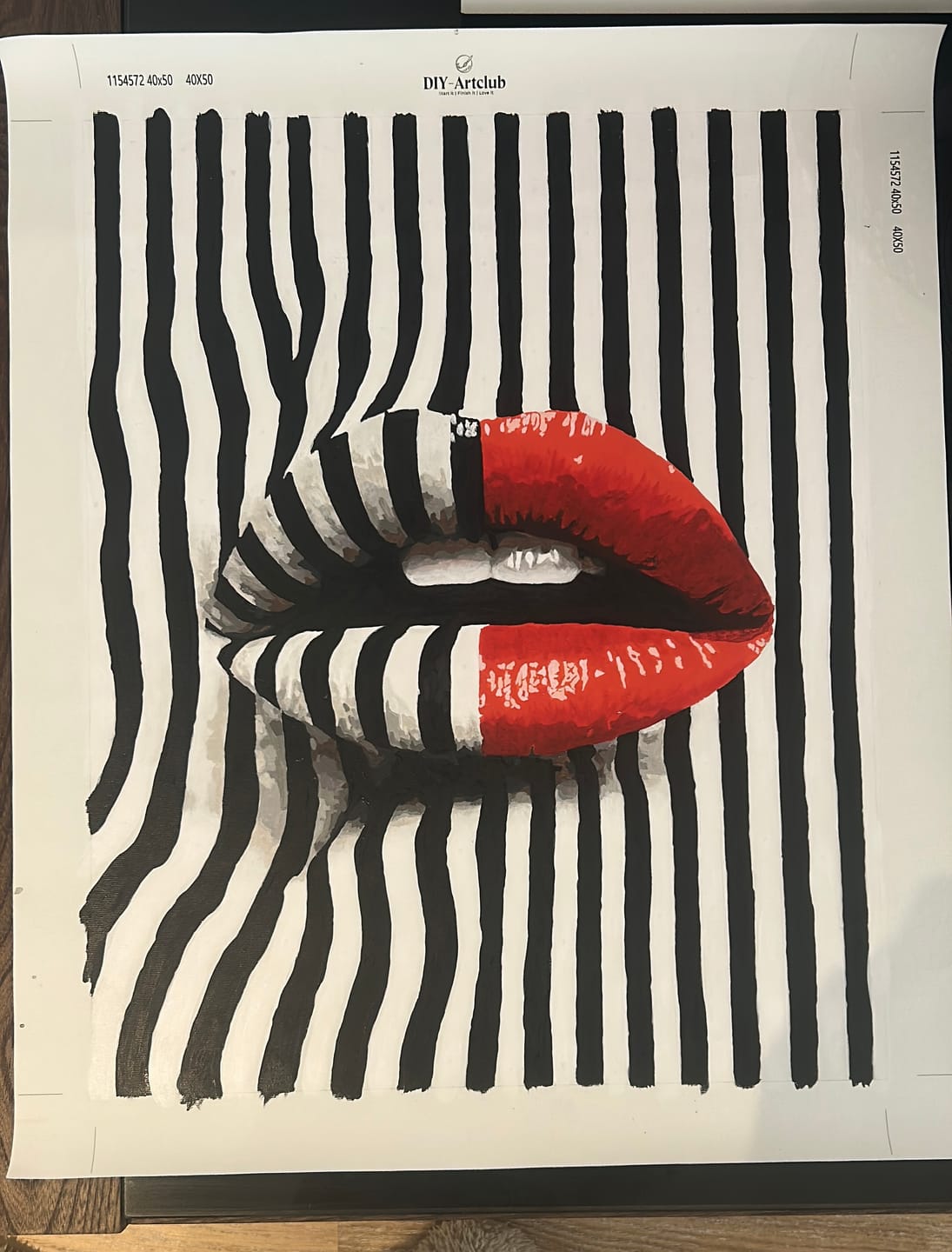 Customer photo review of Bold Expression | Paint by Number