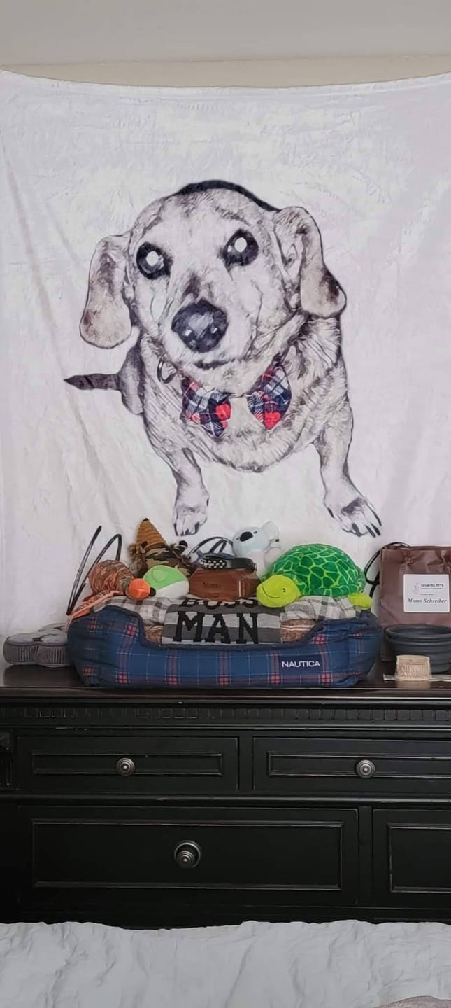 Customer photo review of Custom Pet Portrait Blanket: Personalized Dog or Cat Photo Blanket