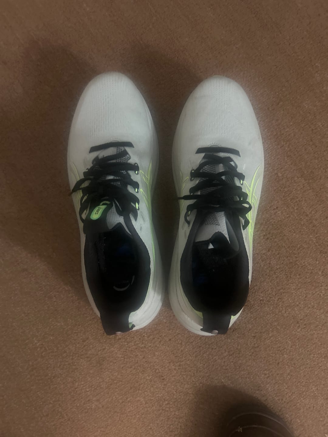 Customer photo review of Gel-Nimbus 28 (M)