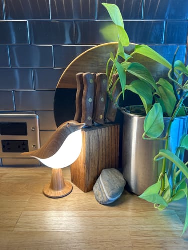 Customer's Glow Bird lamp glowing on a wooden kitchen counter next to a knife block and a green plant.