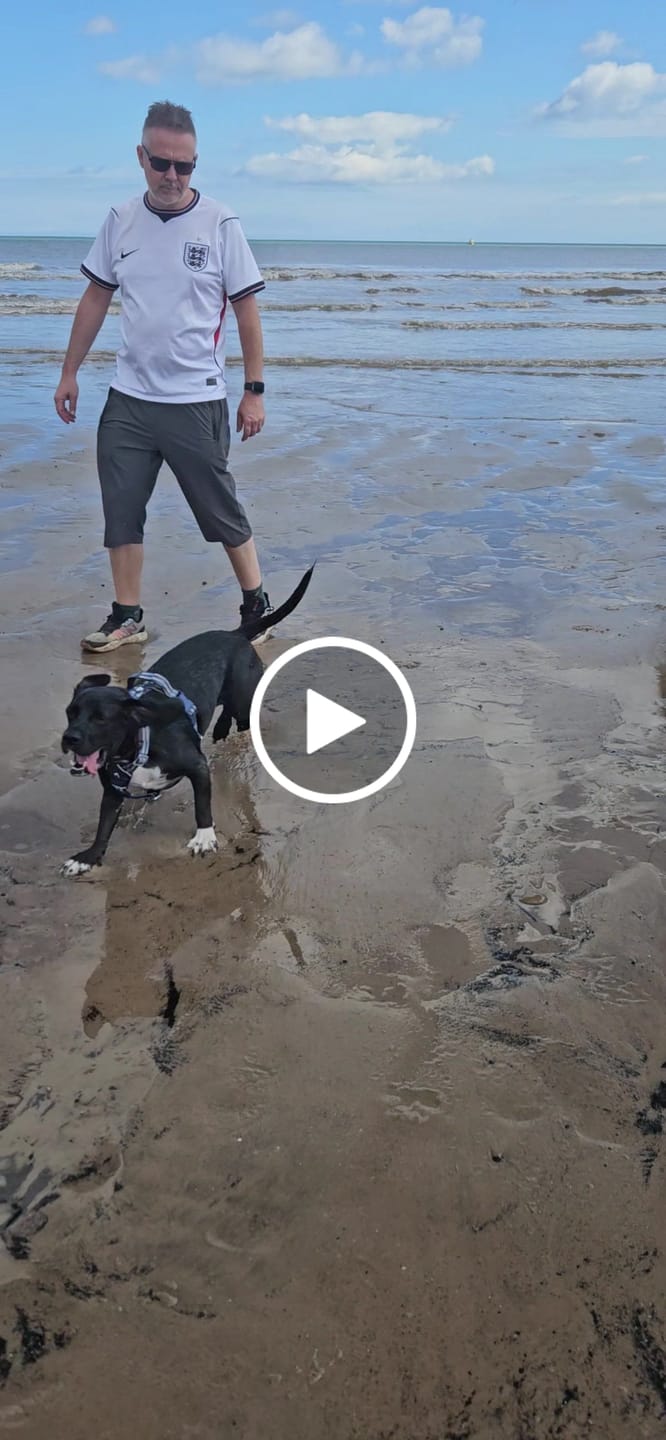 Customer video review of Horizon Harness