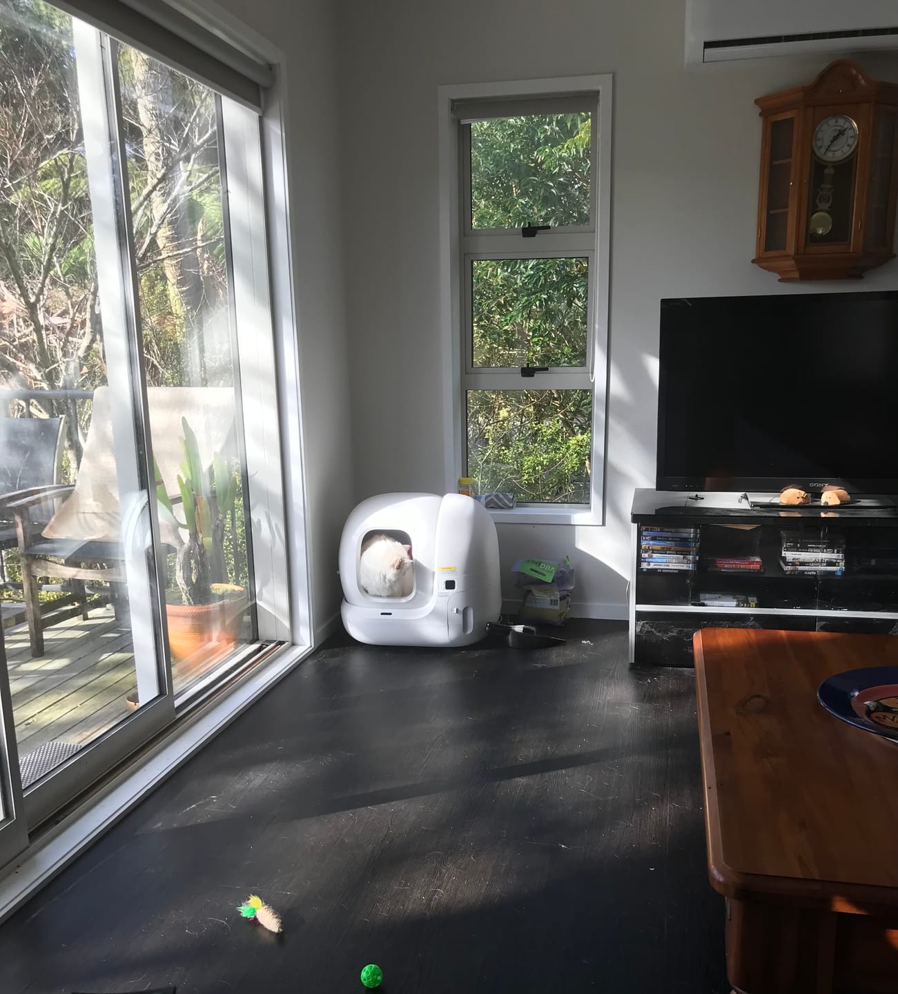 Customer photo review of Fit Litter