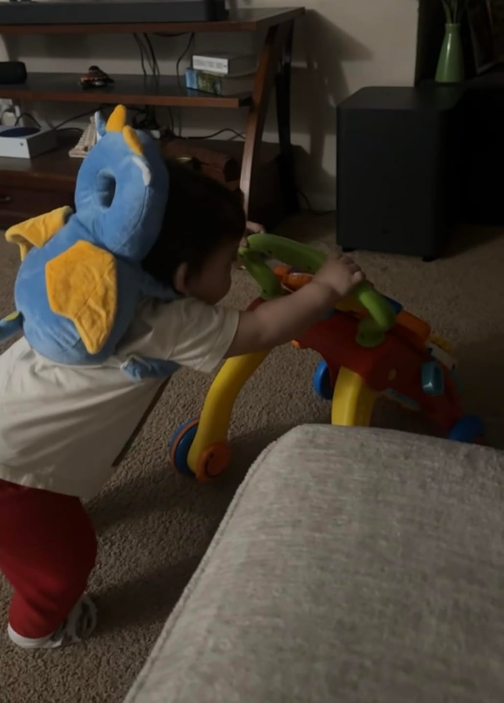 Customer photo review of Ashton TumbleBuddy™