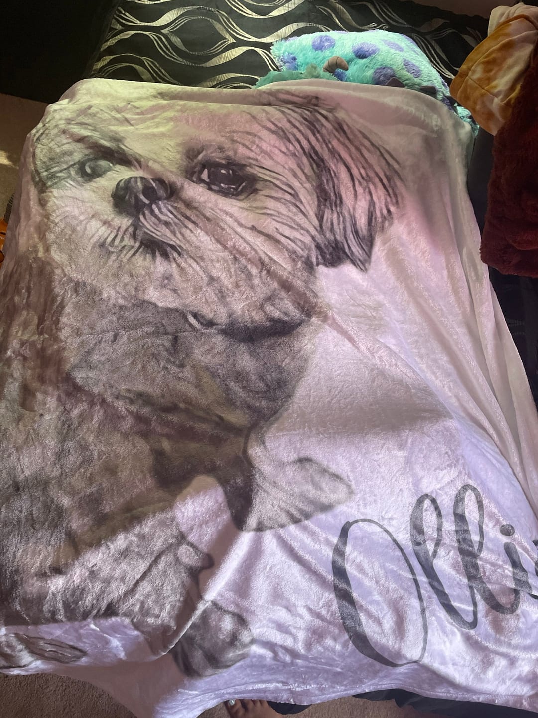 Customer photo review of Custom Pet Portrait Blanket: Personalized Dog or Cat Photo Blanket