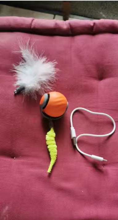 Customer photo review of Pelota interactiva para gatos