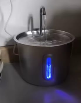 Customer photo review of Fuente de agua inoxidable para gatos