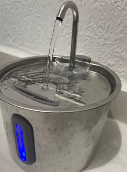 Customer photo review of Fuente de agua inoxidable para gatos
