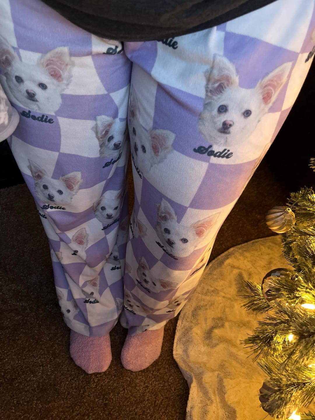 Customer photo review of Custom Pet/Person Portrait Pajama Shorts: Personalized Dog Photo Pants