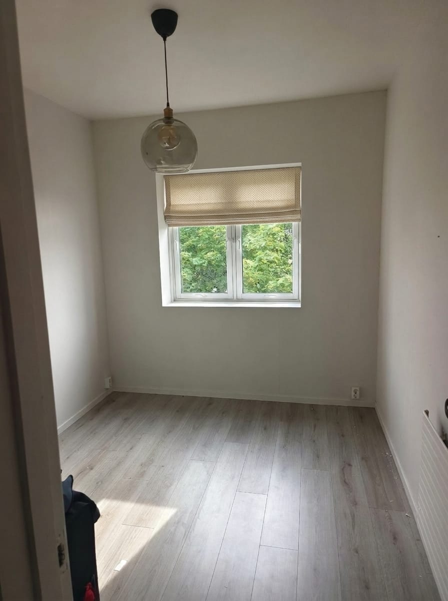 Customer photo review of Motti Stripe Roman Shades