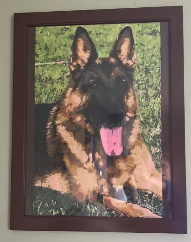 Customer's Custom Paint by Numbers pet portrait of a German Shepherd, displayed in a dark brown frame on a wall.