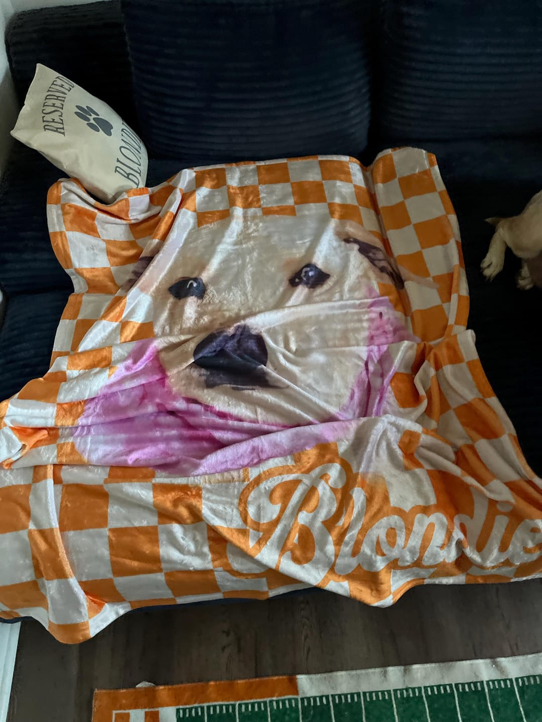 Customer photo review of Custom Pet Photo Blanket: Checkerboard Dog or Cat Blanket