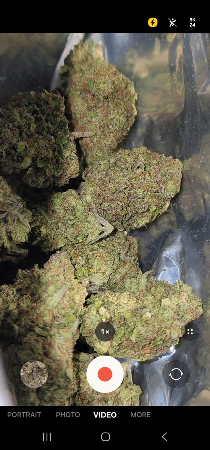 Customer photo review of Frozen Lemons THCA Flower