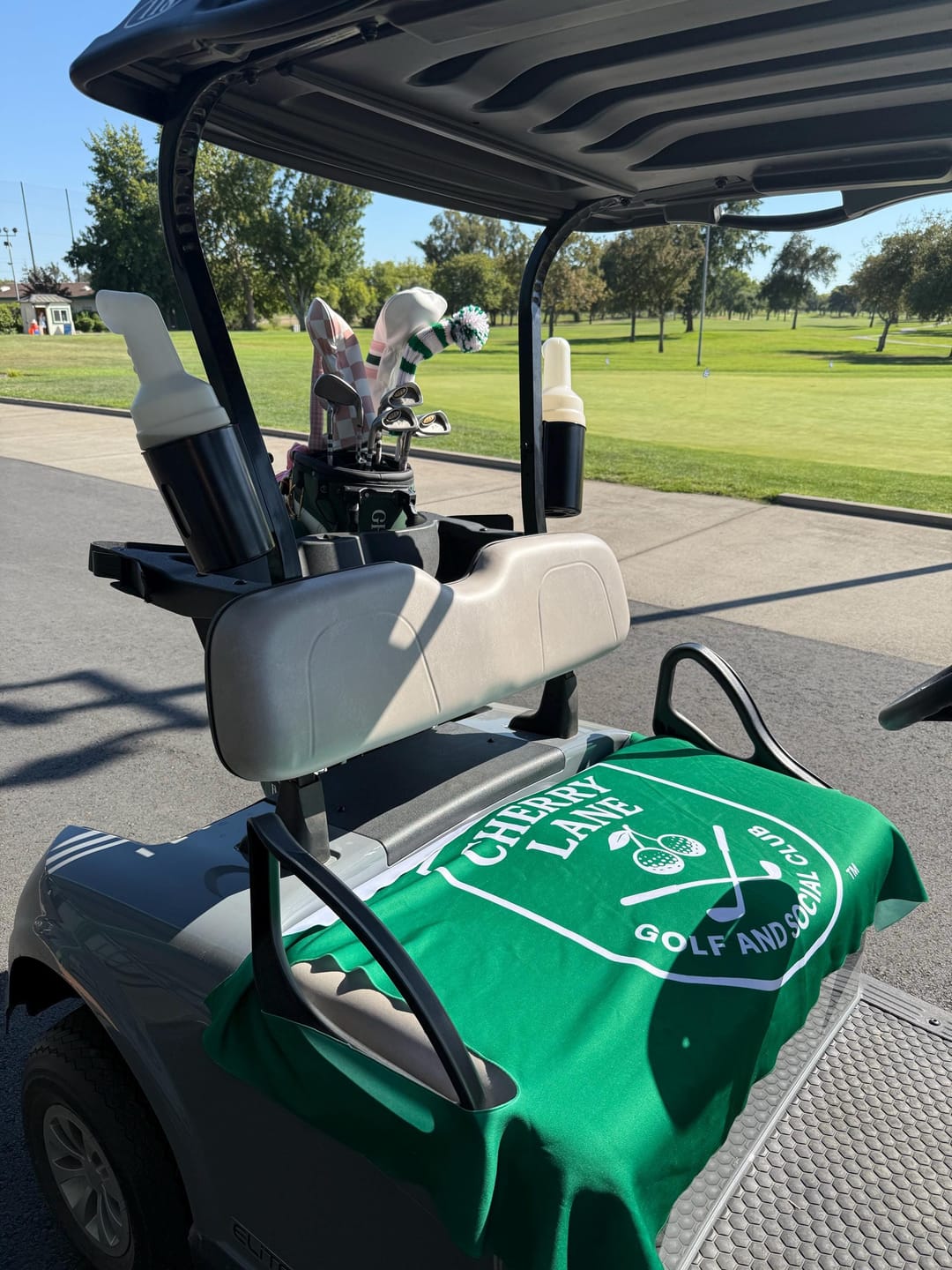 Customer photo review of Custom Fabric Golf Cart Seat Cover: Handmade in USA