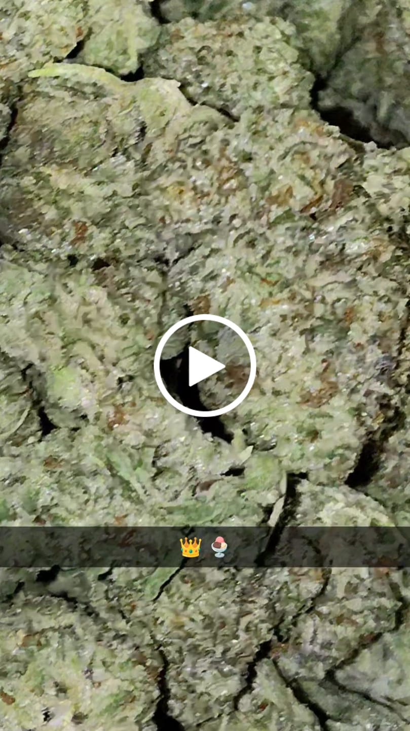 Customer video review of Kinglato THCA Flower
