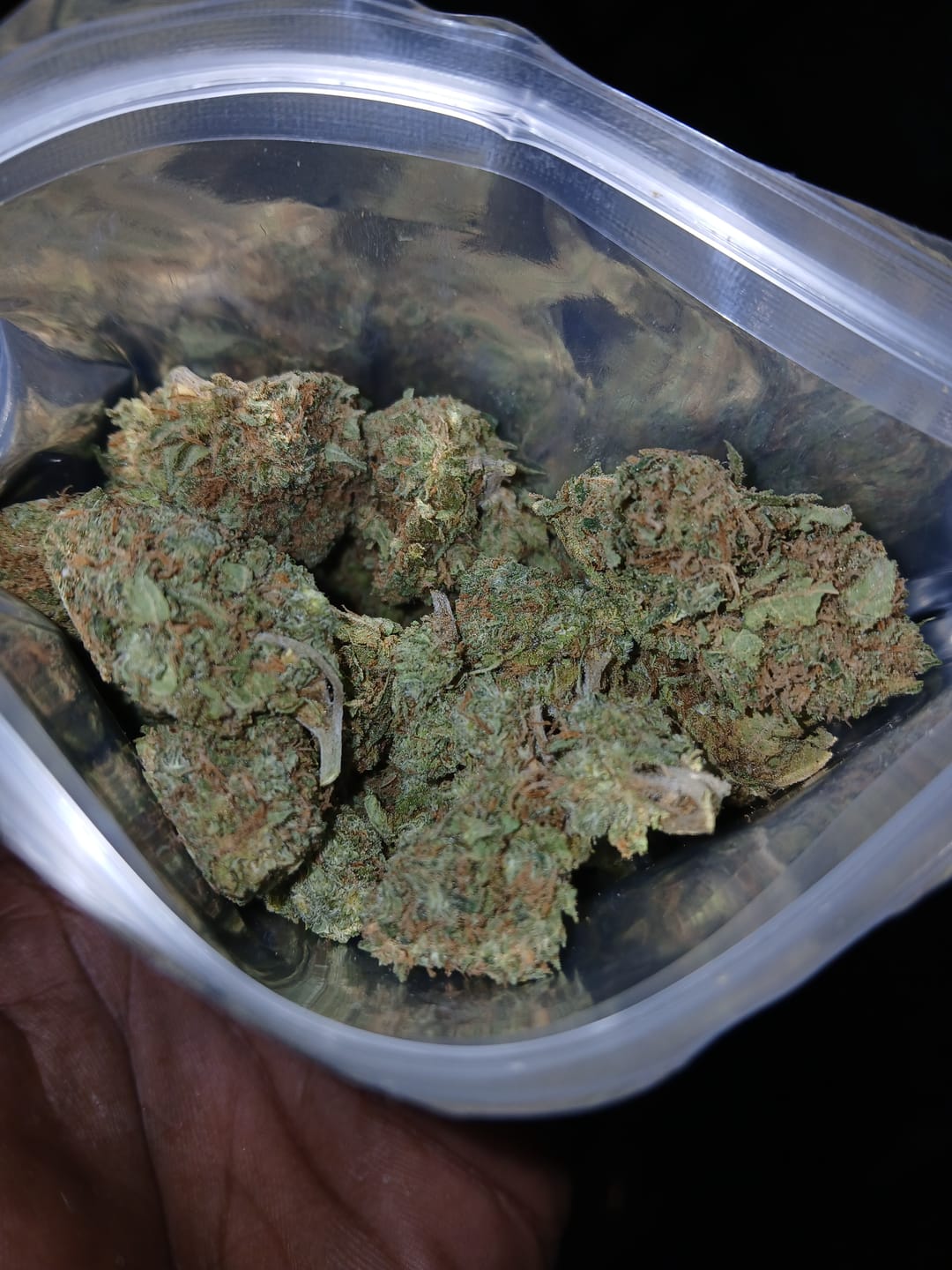 Customer photo review of Gorilla Glue THCA Flower