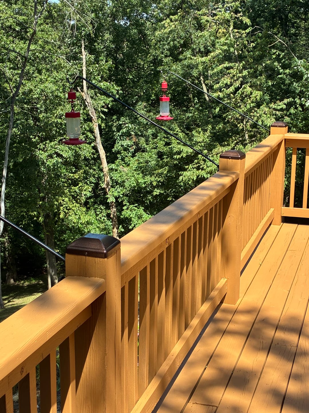 Customer photo review of Custom Color Replacement Screws for Post Caps and Nautical Rings - 10 Count