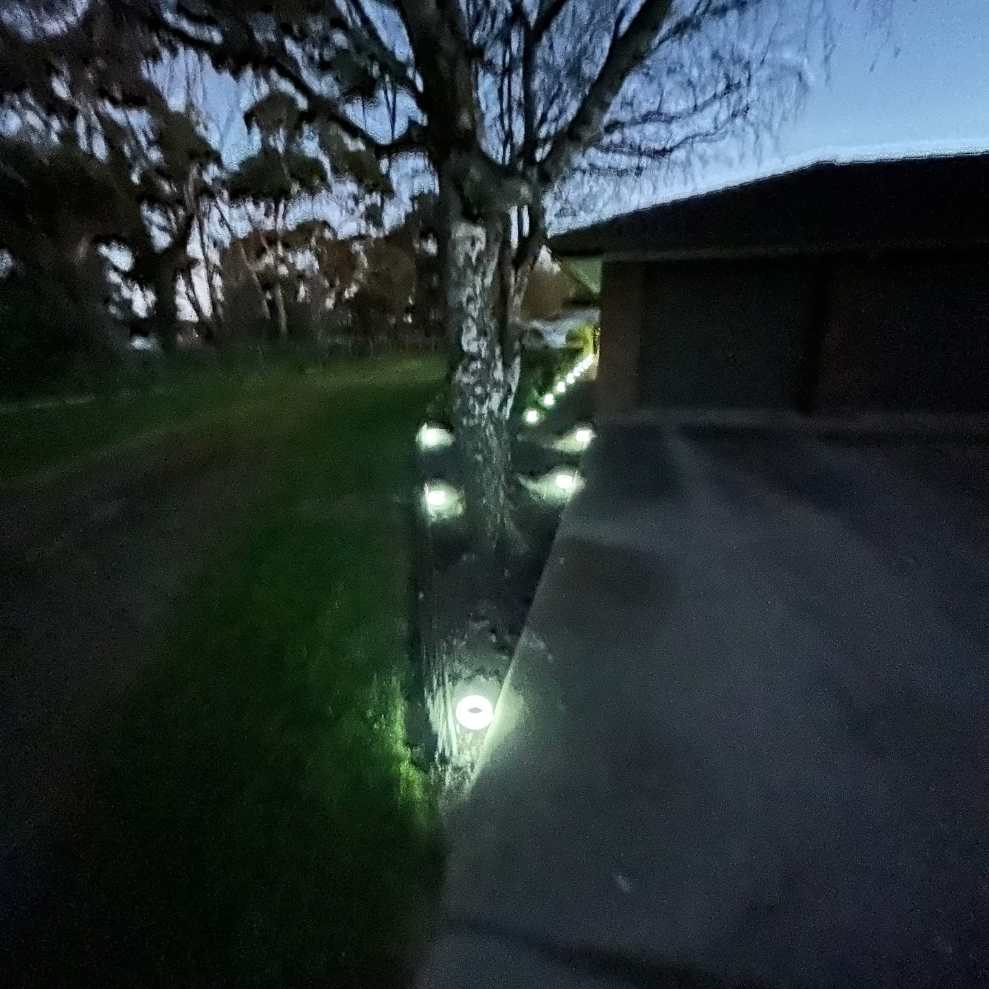 Customer photo review of GardenBrite™ Rust-Proof Solar Ground Light Pack