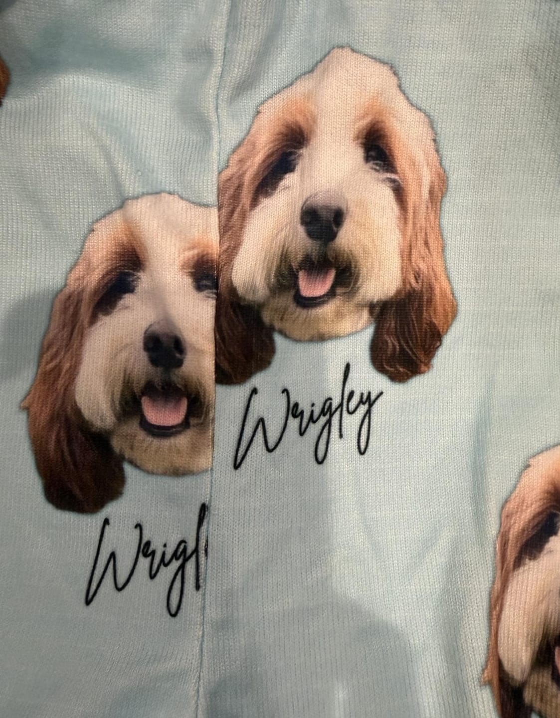 Customer photo review of Personalized Pet Photo Pajama, Custom Dog & Cat Portrait PJs, Family Matching Loungewear